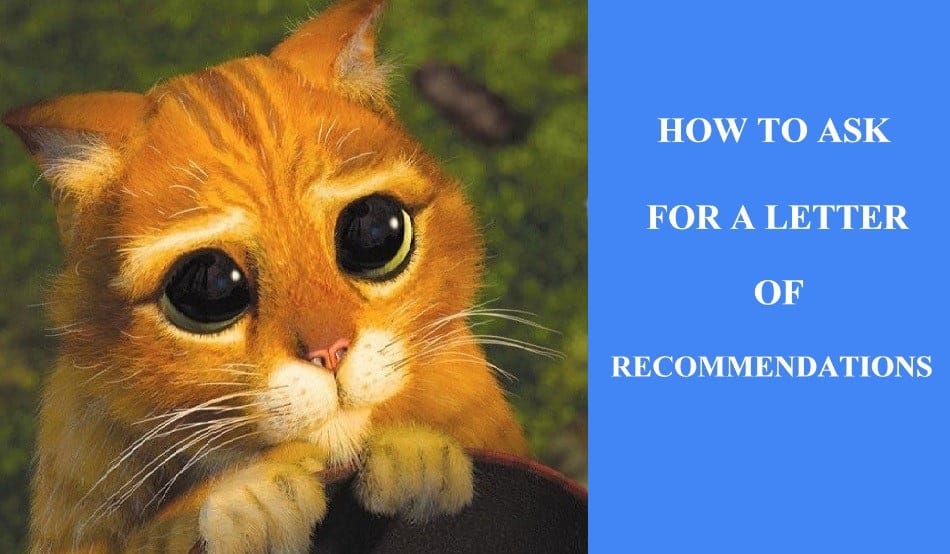 Ask for a Letter of Recommendation